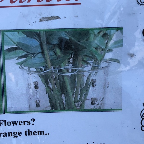 THE DAHLIA BLOOM ARRANGER! - Picture 4 of 8